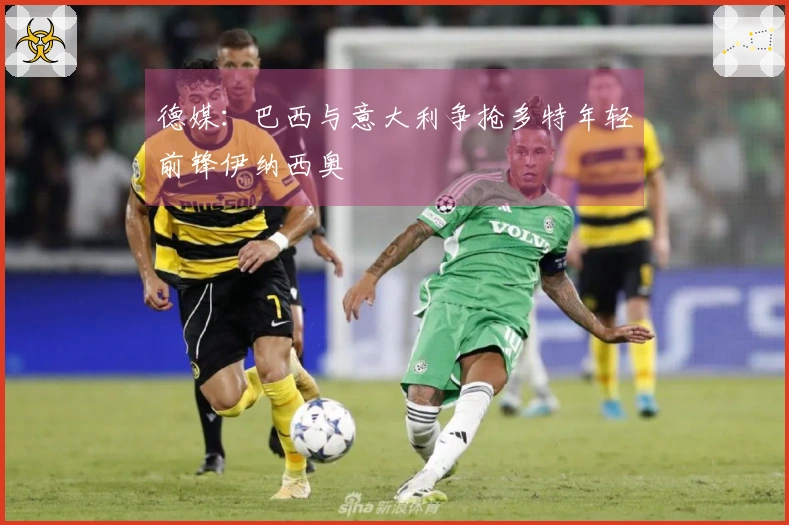 德媒：巴西与意大利争抢多特年轻前锋伊纳西奥